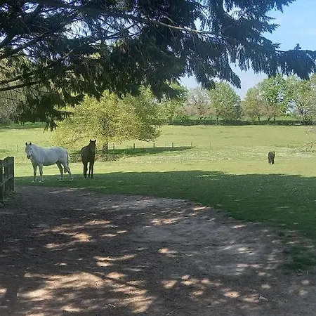 Les Grands Bois A Bousse ベッド・アンド・ブレックファスト