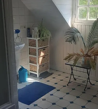 ベッド・アンド・ブレックファスト Les Grands Bois A Bousse La Flèche