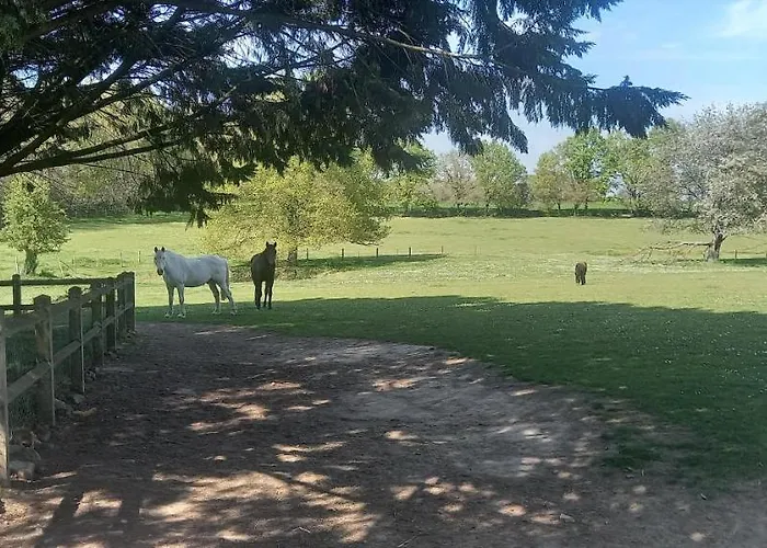 Les Grands Bois à Bousse Couette-café